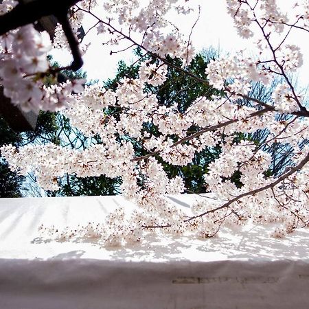 Tora Hotel Tokyo-Kitaueno 寅ホテル北上野 Екстериор снимка