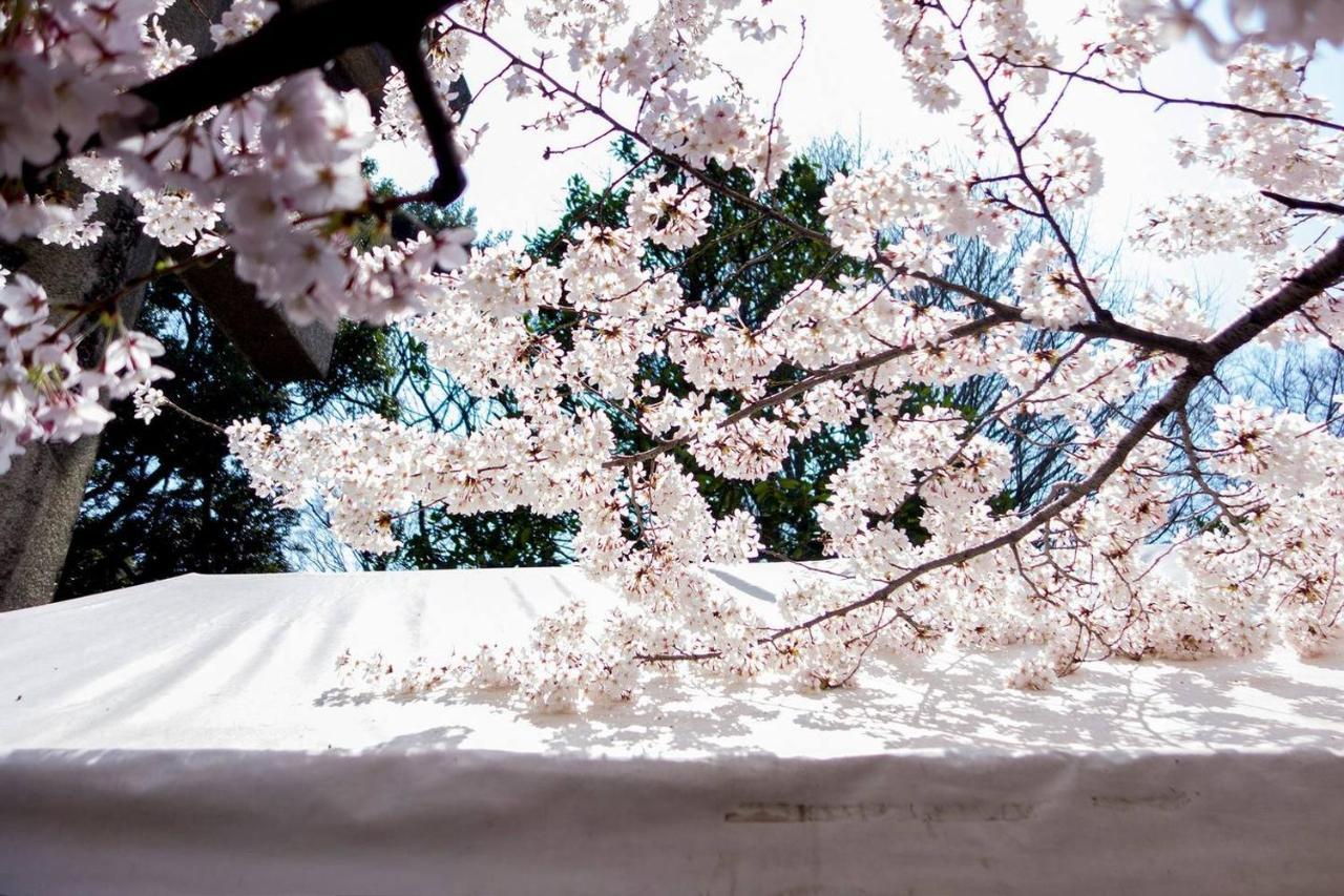 Tora Hotel Tokyo-Kitaueno 寅ホテル北上野 Екстериор снимка